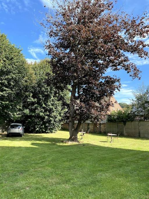 La Villa Lumaga Etretat Ngoại thất bức ảnh